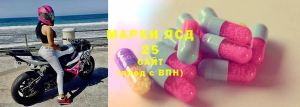 ECSTASY Елизово