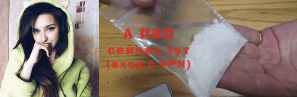 ECSTASY Елизово