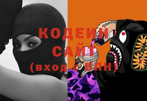 ECSTASY Елизово