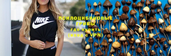 альфа пвп Елабуга