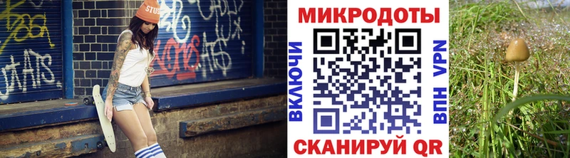 даркнет сайт  Сергач  omg маркетплейс  Галлюциногенные грибы мицелий 